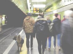 Stadttour "Stadtstreifen" Stadttour aus der Perspektive von Menschen, die auf der Straße leben