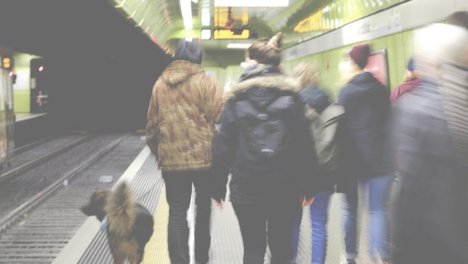 Stadttour "Stadtstreifen" Stadttour aus der Perspektive von Menschen, die auf der Straße leben